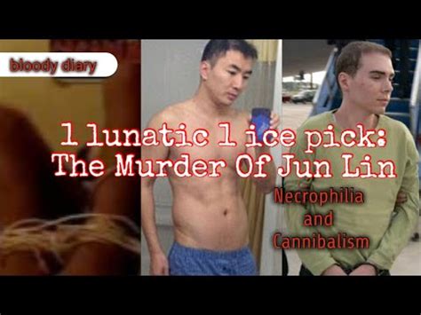 1 icepick 1 lunatic video|The murder of Lin Jun and the '1 Lunatic 1 Ice Pick' video.